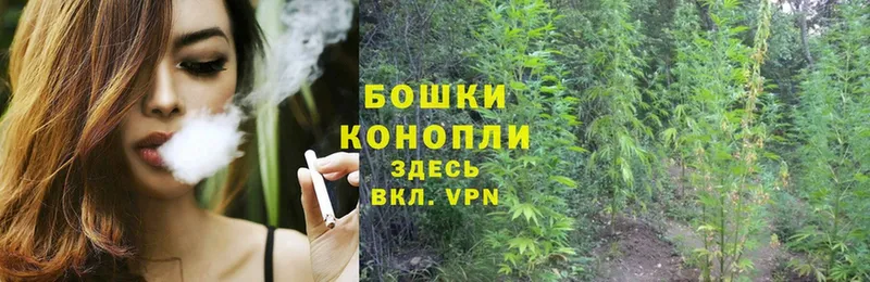 darknet наркотические препараты  Динская  МАРИХУАНА SATIVA & INDICA  купить наркотик 